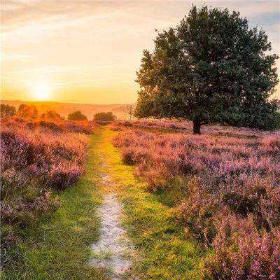 万博全站(Manbetx)